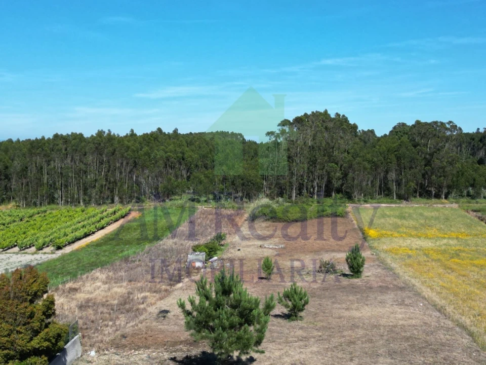 Terreno para Venda em Atouguia da Baleia Foto 12