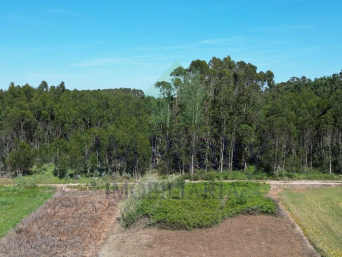 Terreno para Venda em Atouguia da Baleia Foto 10