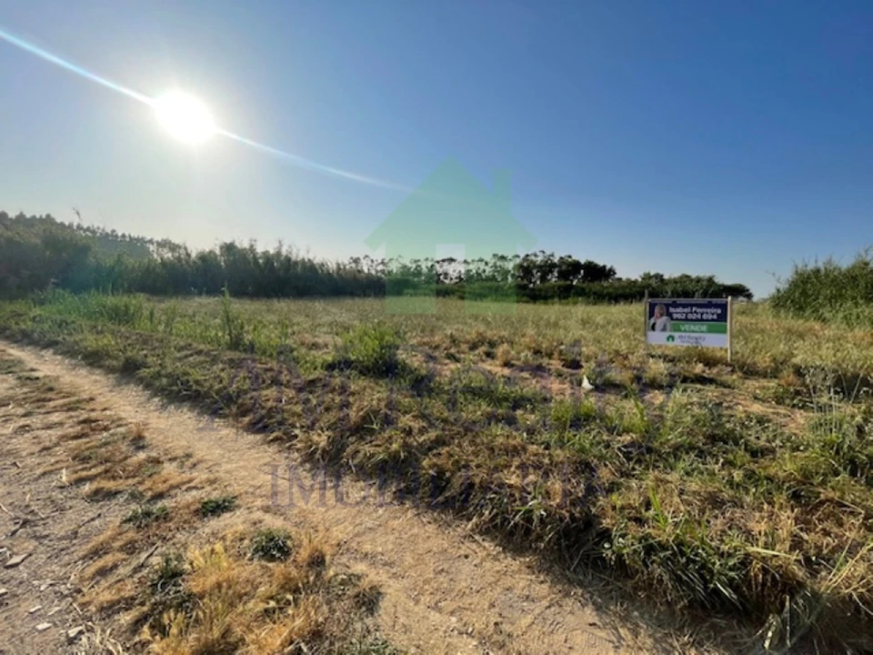 Terreno Agricola ou Rústico para Venda em São Bartolomeu dos Galegos e Moledo Foto 2