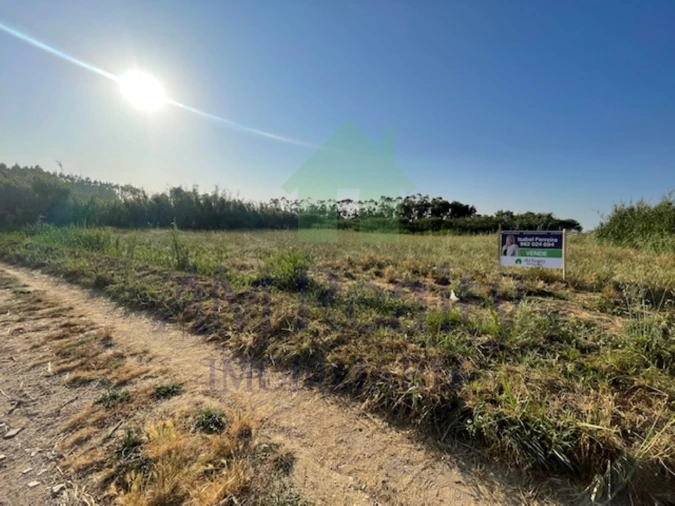 Terreno Agricola ou Rústico para Venda em São Bartolomeu dos Galegos e Moledo Foto 2