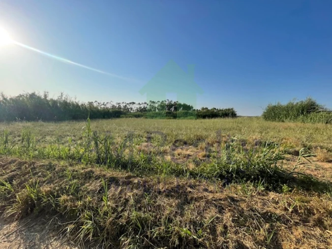 Terreno Agricola ou Rústico para Venda em São Bartolomeu dos Galegos e Moledo Foto 3