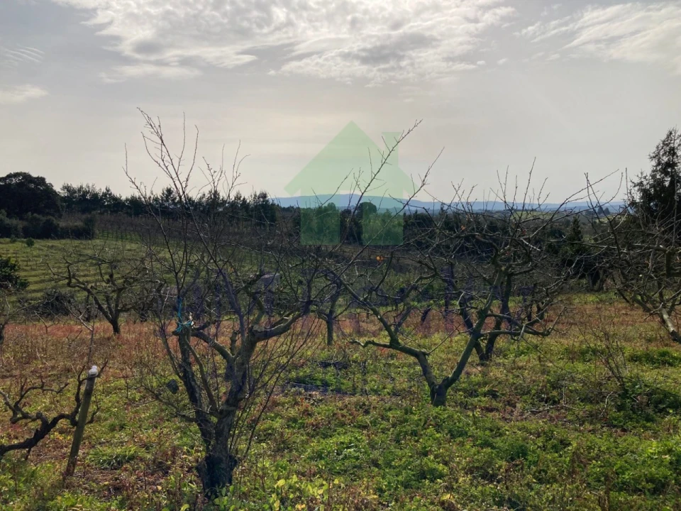 Terreno para Venda em Roliça Foto 1