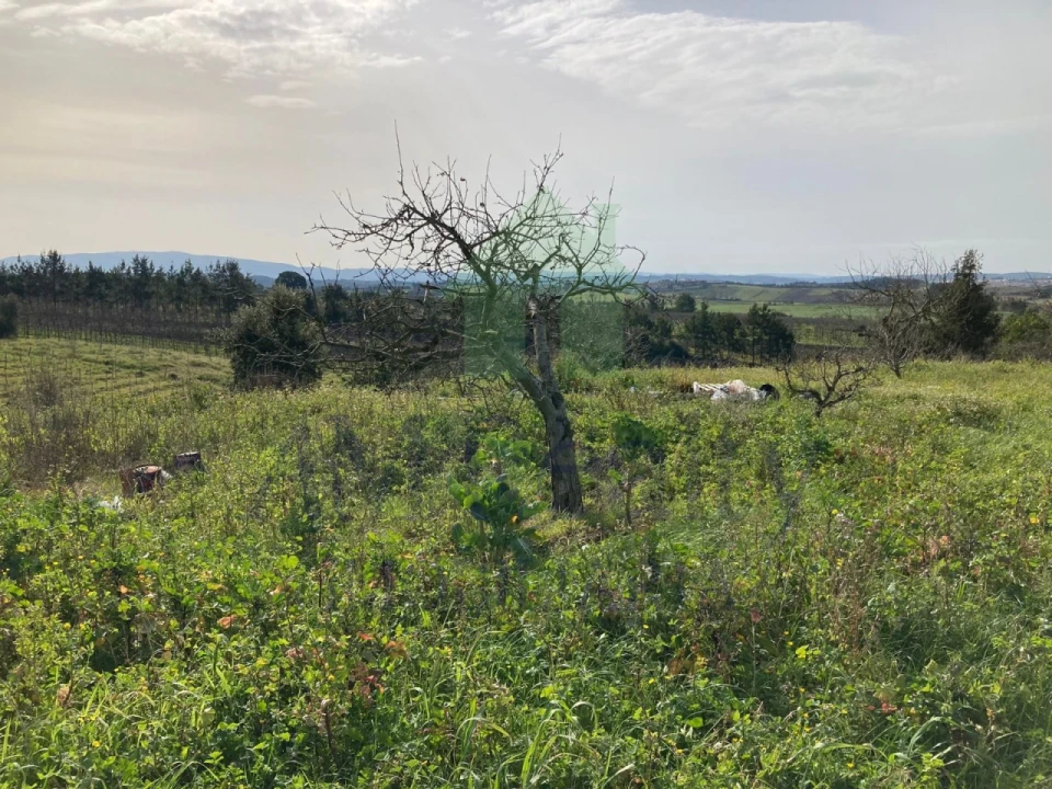 Terreno para Venda em Roliça Foto 8