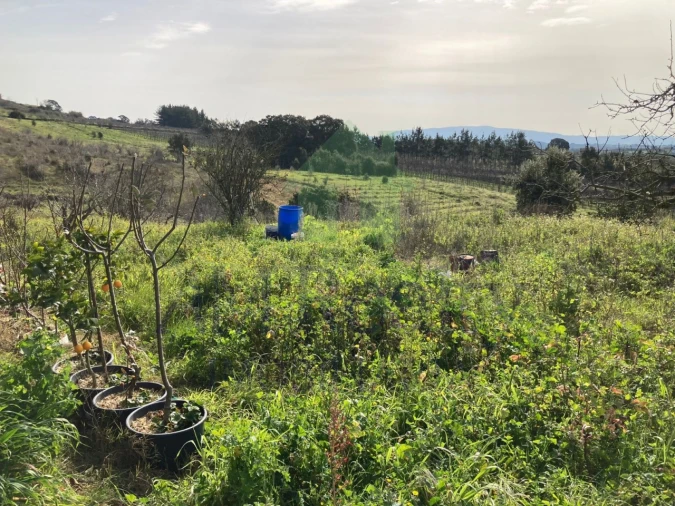 Terreno para Venda em Roliça Foto 6
