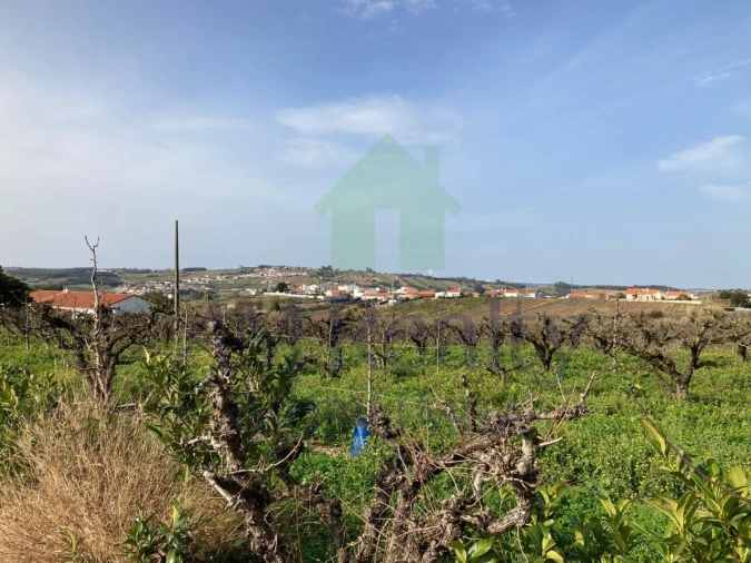 Terreno para Venda em Roliça Foto 7