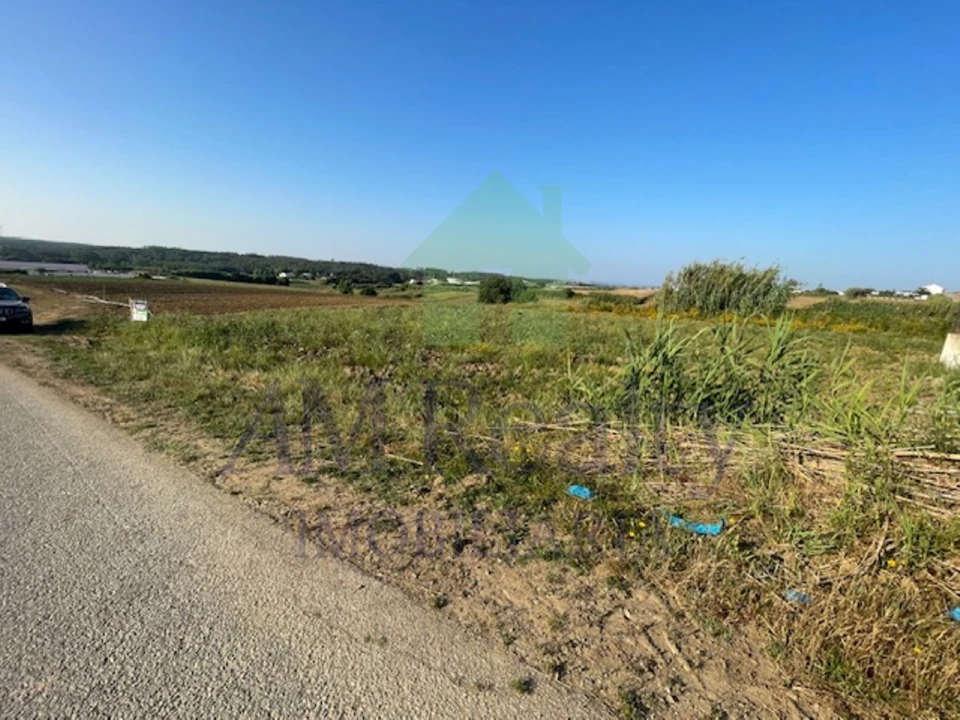 Terreno Agricola ou Rústico para Venda em São Bartolomeu dos Galegos e Moledo Foto 4