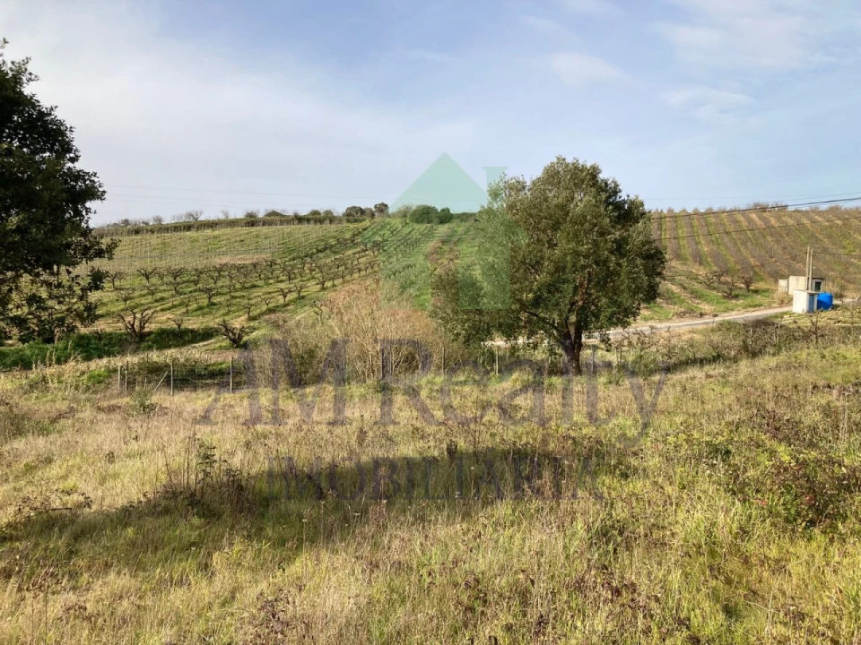 Terreno para Venda em Roliça Foto 5