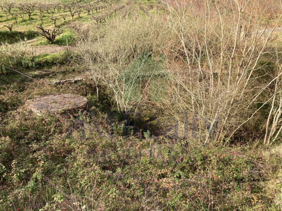 Terreno para Venda em Roliça Foto 8