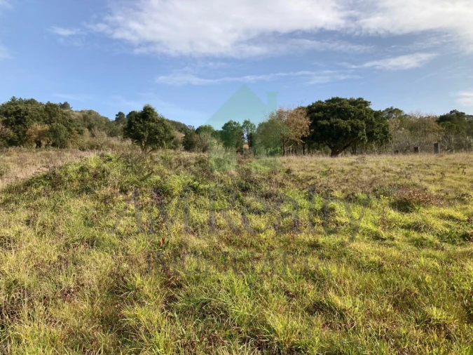 Terreno para Venda em Roliça Foto 3