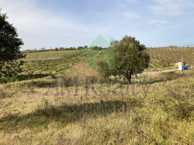 Terreno para Venda em Roliça Foto 5