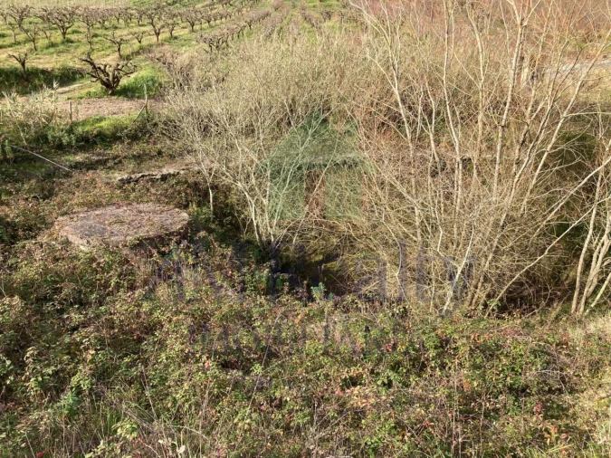 Terreno para Venda em Roliça Foto 8