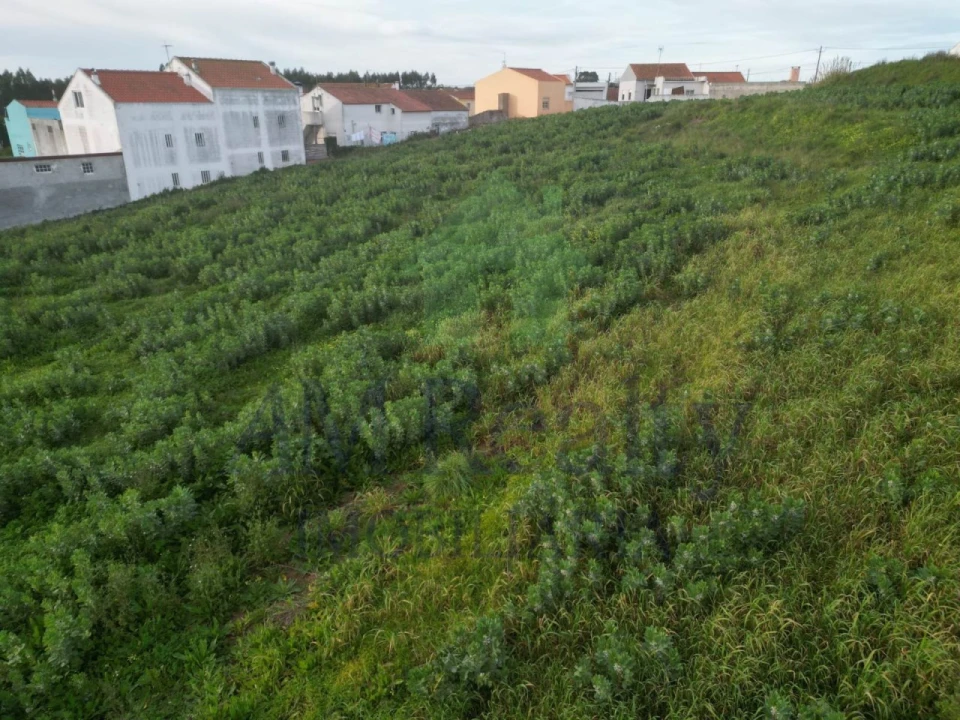 Terreno Agricola ou Rústico para Venda em Atouguia da Baleia Foto 3