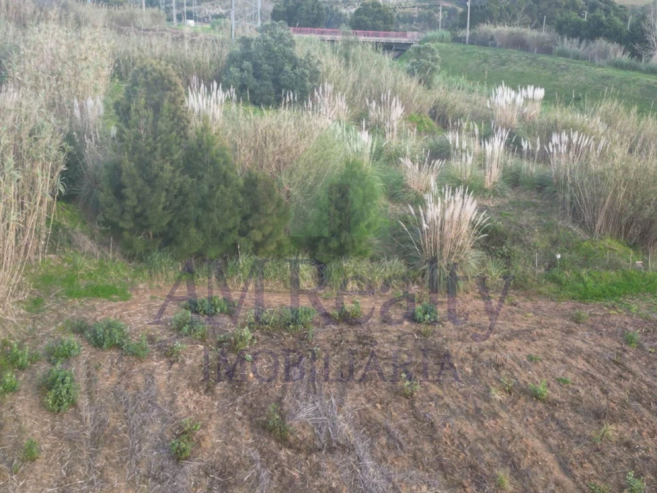 Terreno Agricola ou Rústico para Venda em Atouguia da Baleia Foto 5
