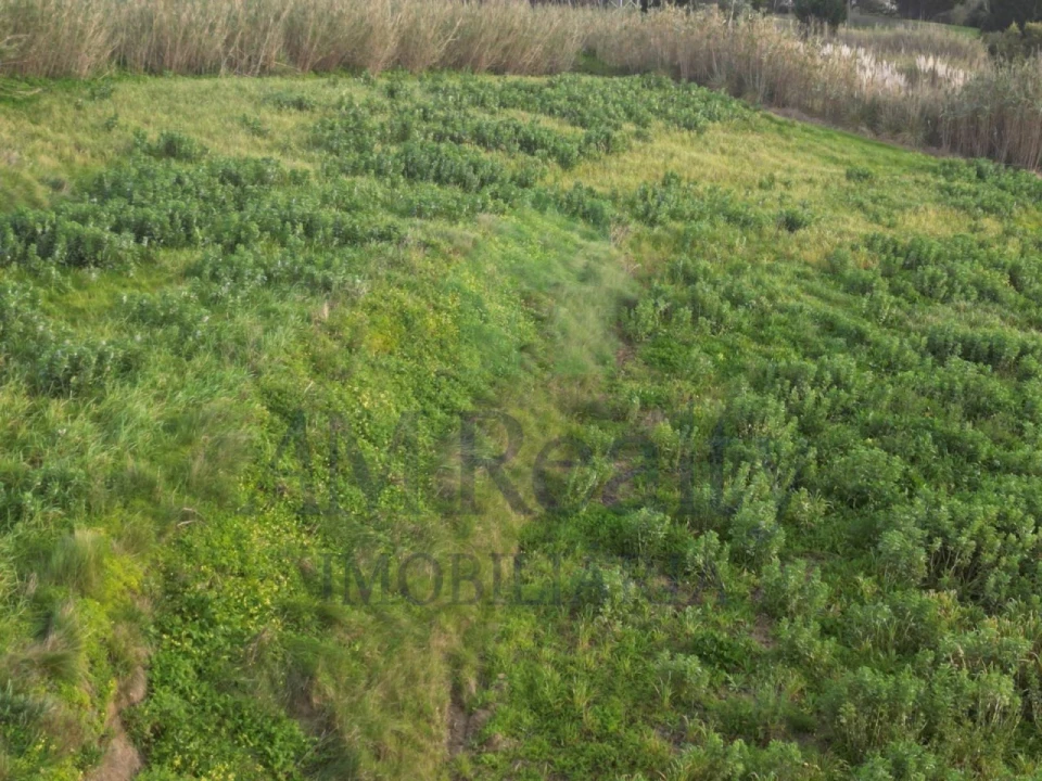Terreno Agricola ou Rústico para Venda em Atouguia da Baleia Foto 8