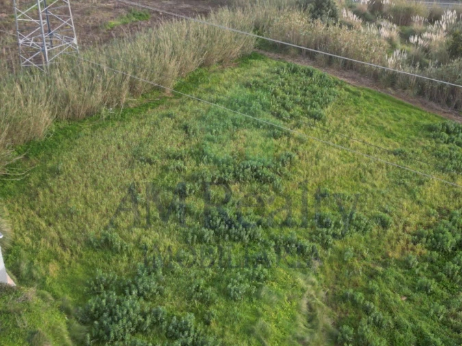 Terreno Agricola ou Rústico para Venda em Atouguia da Baleia Foto 2