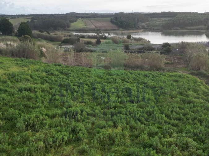 Terreno Agricola ou Rústico para Venda em Atouguia da Baleia Foto 6