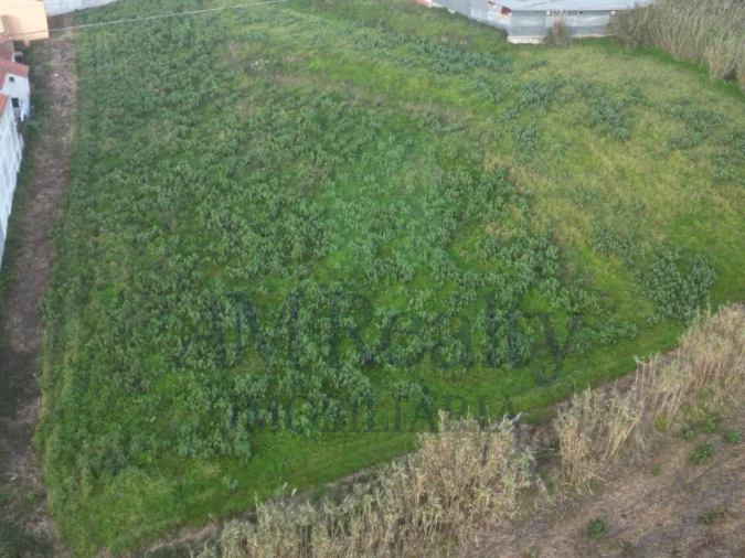 Terreno Agricola ou Rústico para Venda em Atouguia da Baleia Foto 7