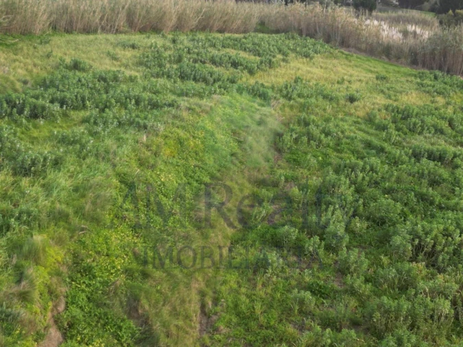 Terreno Agricola ou Rústico para Venda em Atouguia da Baleia Foto 8
