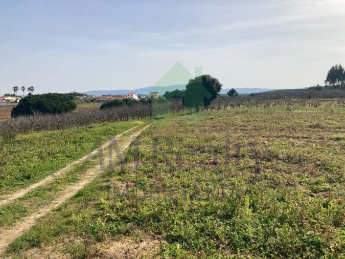 Terreno Misto para Venda em Moita dos Ferreiros Foto 2