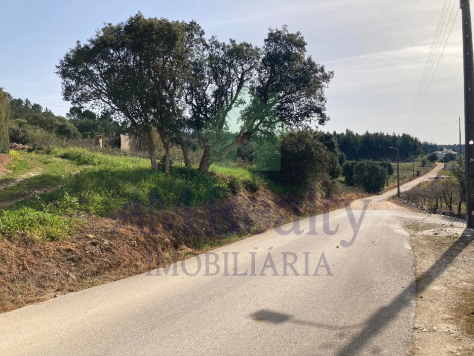 Terreno Agricola ou Rústico para Venda em Bombarral e Vale Covo Foto 2