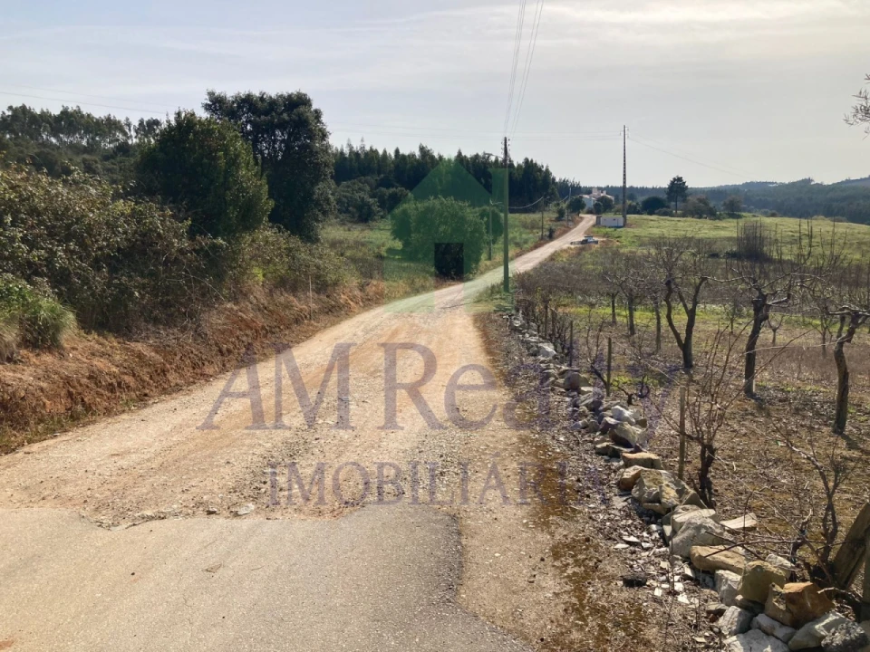 Terreno Agricola ou Rústico para Venda em Bombarral e Vale Covo Foto 3