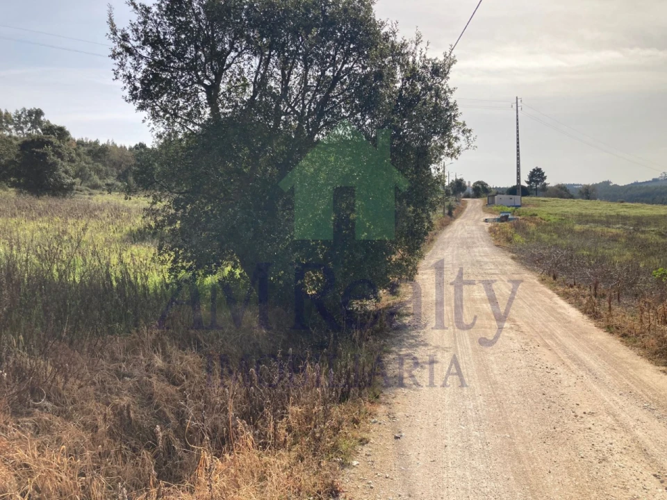 Terreno Agricola ou Rústico para Venda em Bombarral e Vale Covo Foto 6