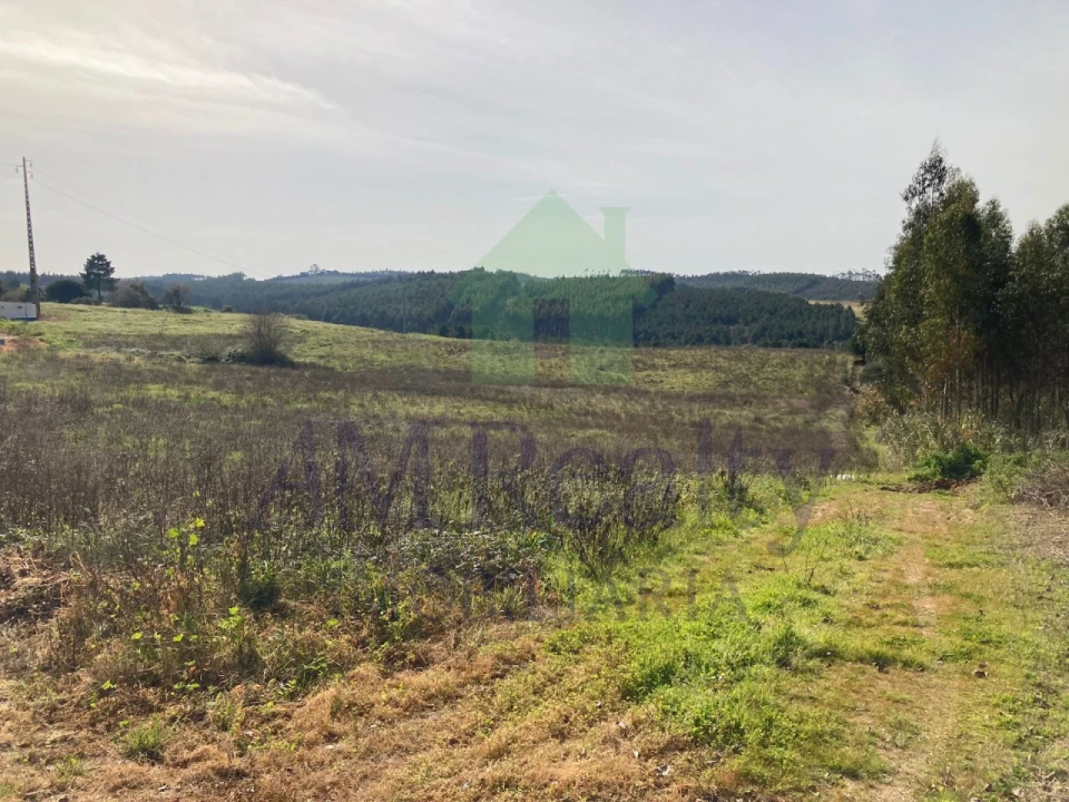 Terreno Agricola ou Rústico para Venda em Bombarral e Vale Covo Foto 8