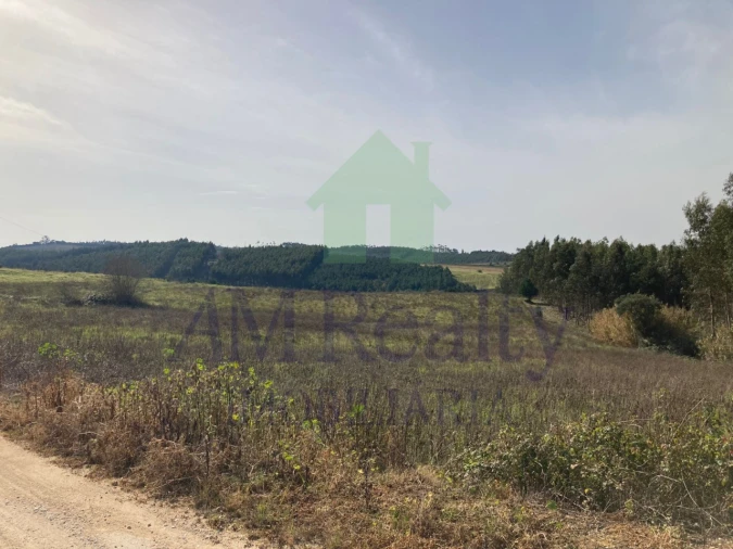 Terreno Agricola ou Rústico para Venda em Bombarral e Vale Covo Foto 1