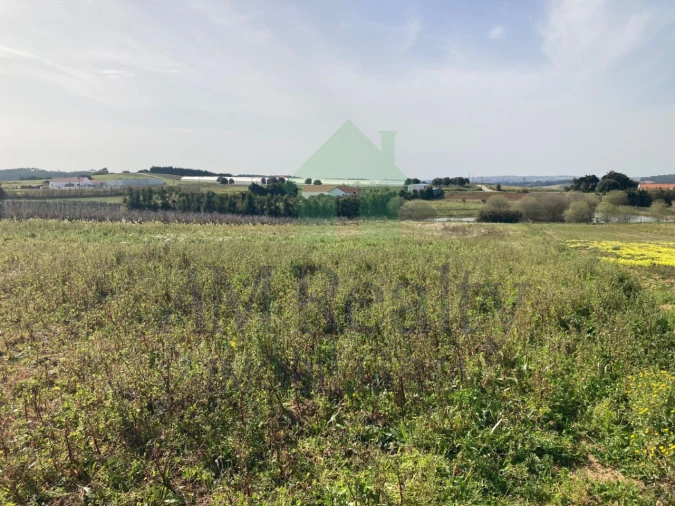 Terreno Agricola ou Rústico para Venda em Bombarral e Vale Covo Foto 5