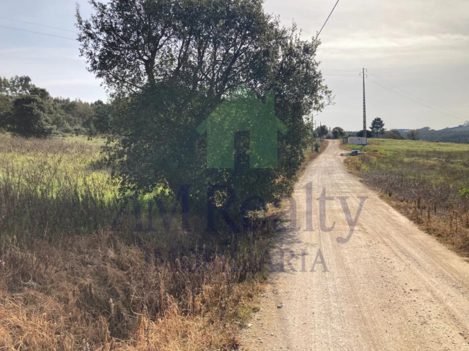 Terreno Agricola ou Rústico para Venda em Bombarral e Vale Covo Foto 6