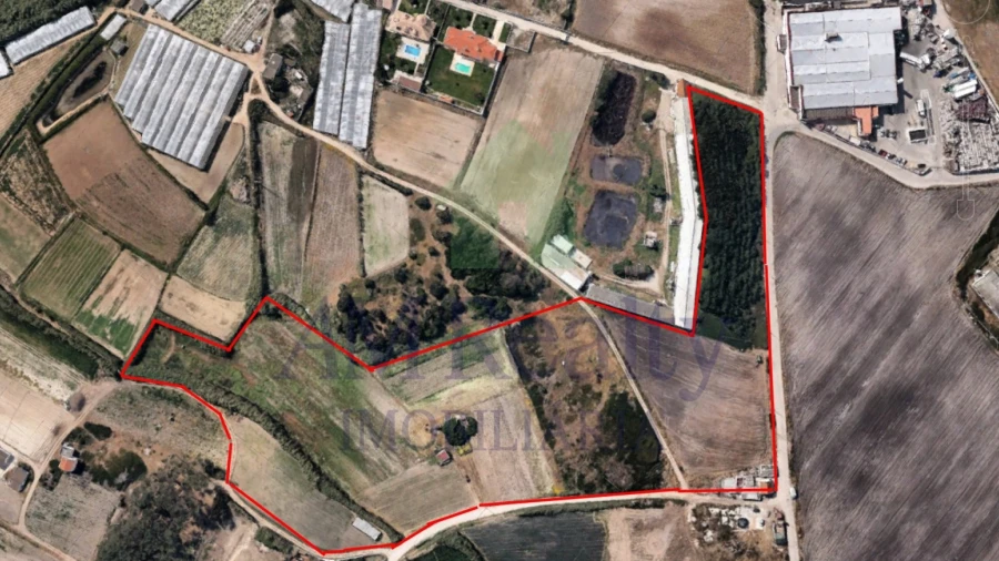 Terreno Agricola ou Rústico para Venda em Atouguia da Baleia
