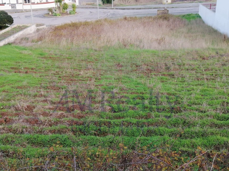 Terreno para Venda em Lourinhã e Atalaia Foto 2