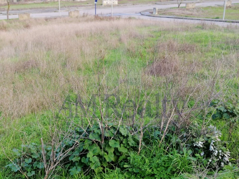 Terreno para Venda em Lourinhã e Atalaia Foto 3
