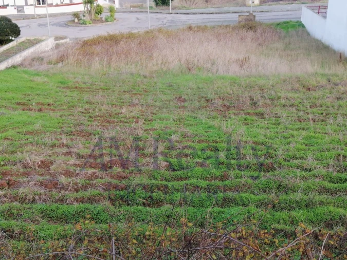 Terreno para Venda em Lourinhã e Atalaia Foto 2