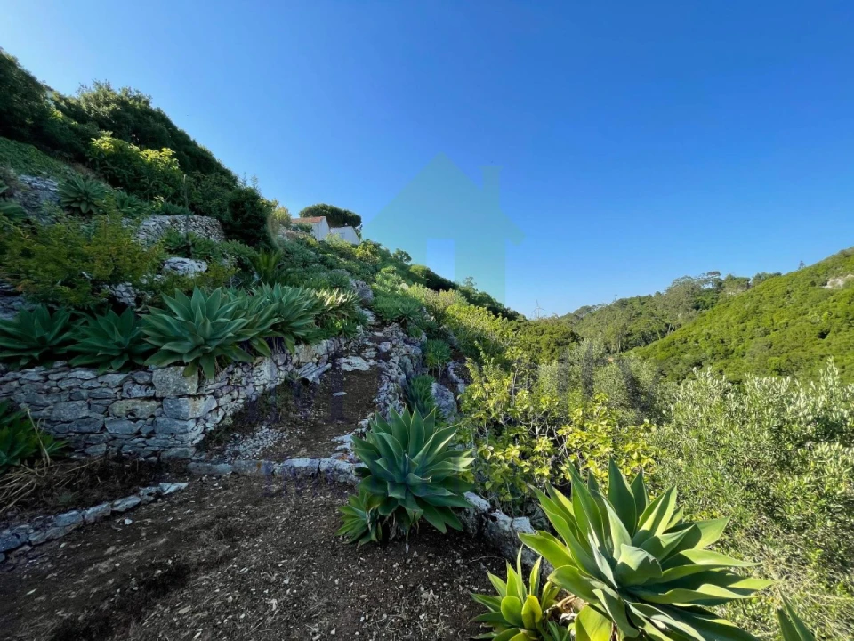 Terreno Agricola ou Rústico para Venda em Reguengo Grande Foto 14