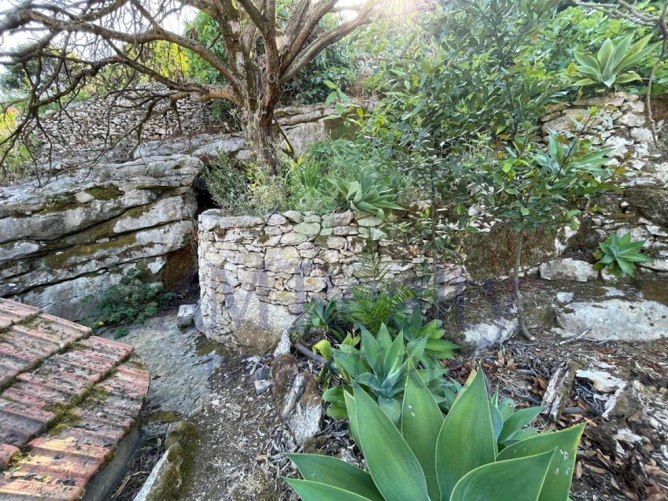Terreno Agricola ou Rústico para Venda em Reguengo Grande Foto 22