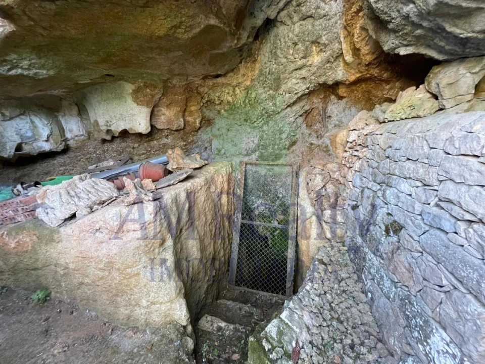 Terreno Agricola ou Rústico para Venda em Reguengo Grande Foto 23