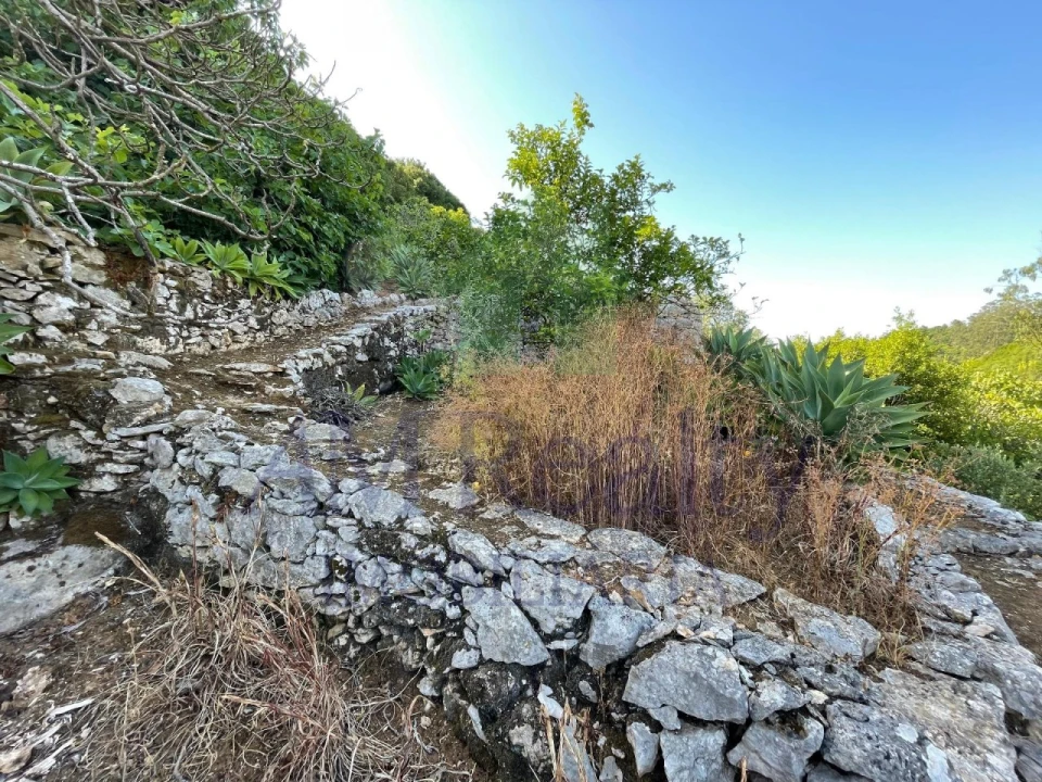Terreno Agricola ou Rústico para Venda em Reguengo Grande Foto 24