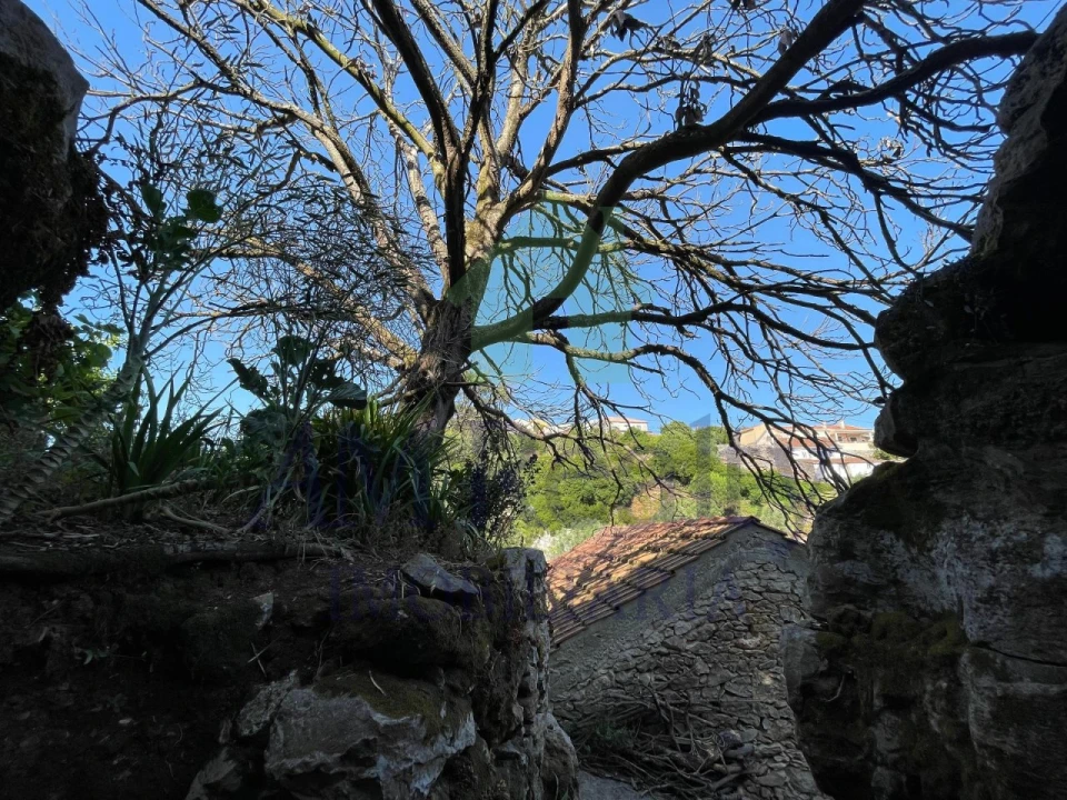 Terreno Agricola ou Rústico para Venda em Reguengo Grande Foto 27