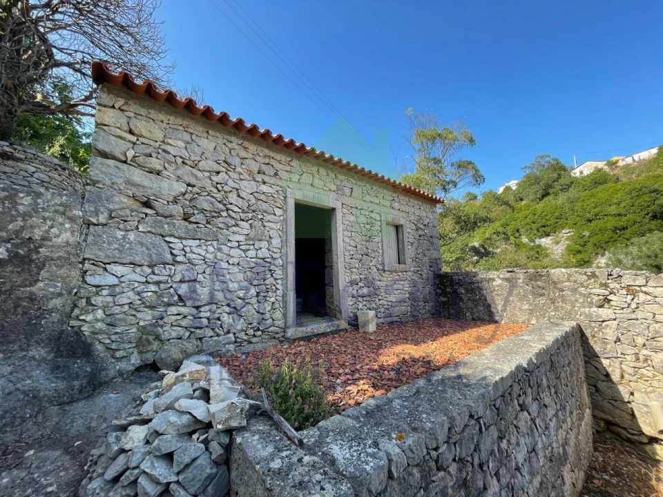 Terreno Agricola ou Rústico para Venda em Reguengo Grande Foto 4