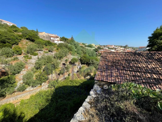 Terreno Agricola ou Rústico para Venda em Reguengo Grande Foto 21