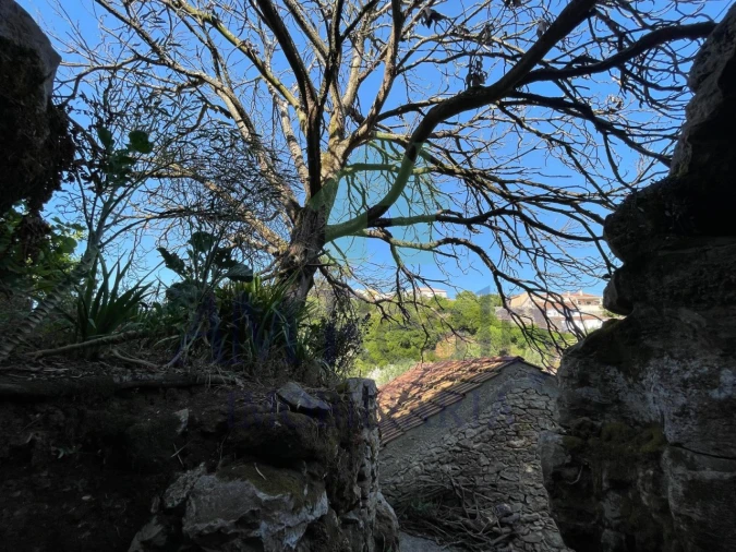 Terreno Agricola ou Rústico para Venda em Reguengo Grande Foto 27
