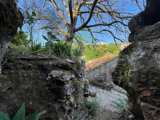 Terreno Agricola ou Rústico para Venda em Reguengo Grande Foto 28