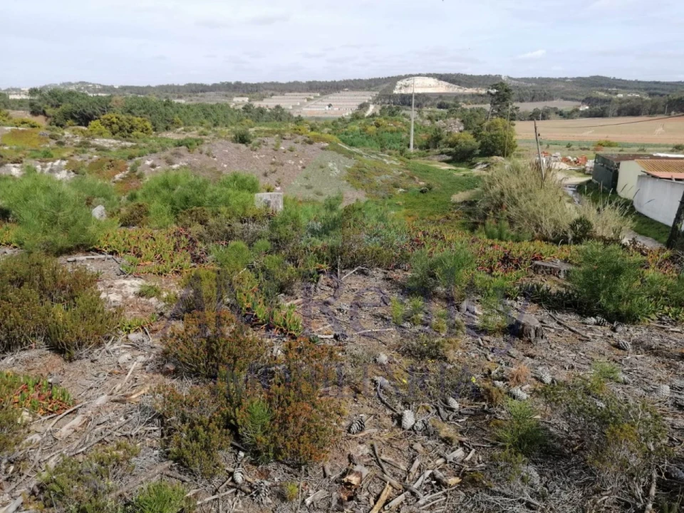 Terreno Agricola ou Rústico para Venda em Amoreira Foto 2