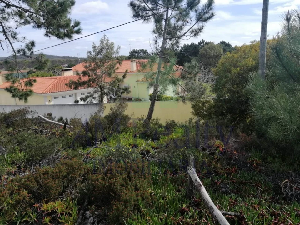 Terreno Agricola ou Rústico para Venda em Amoreira Foto 6