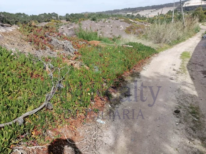 Terreno Agricola ou Rústico para Venda em Amoreira Foto 5