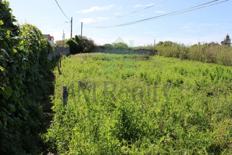 Terreno para Venda em Peniche Foto 2