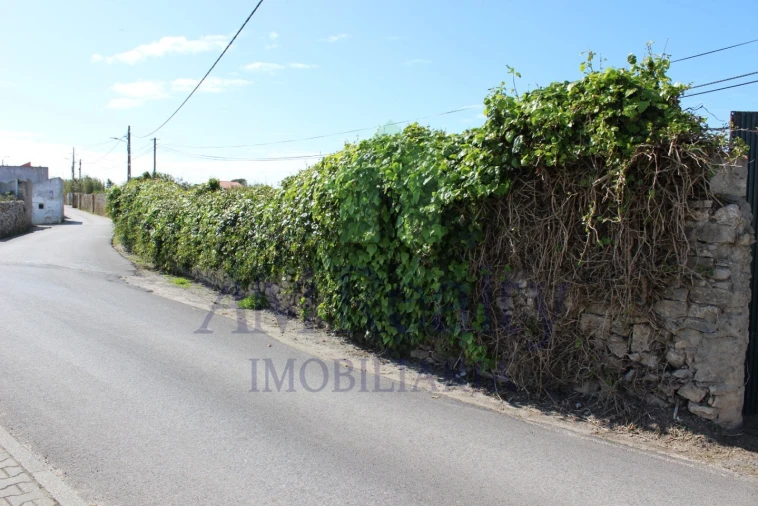 Terreno para Venda em Peniche Foto 8