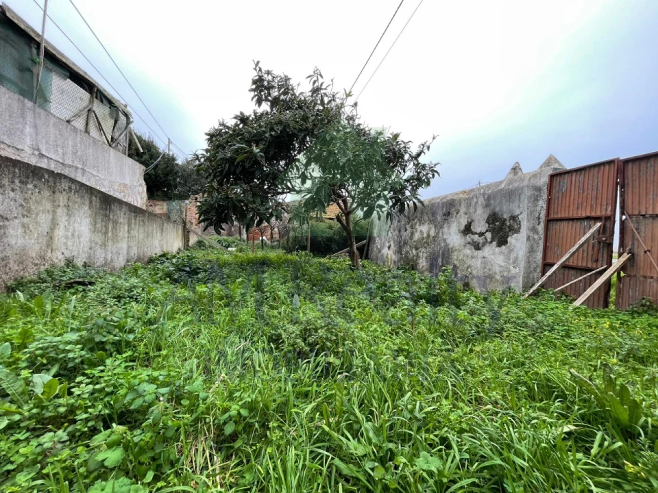 Moradia T3 para Venda em Atouguia da Baleia Foto 18