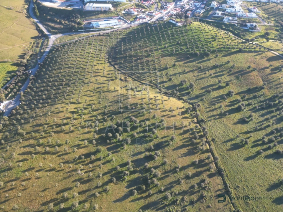 Quinta para Venda em Arraiolos Foto 9